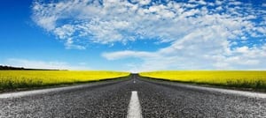 What role can professional security services play in your journey to combat the new persistent threat landscape?