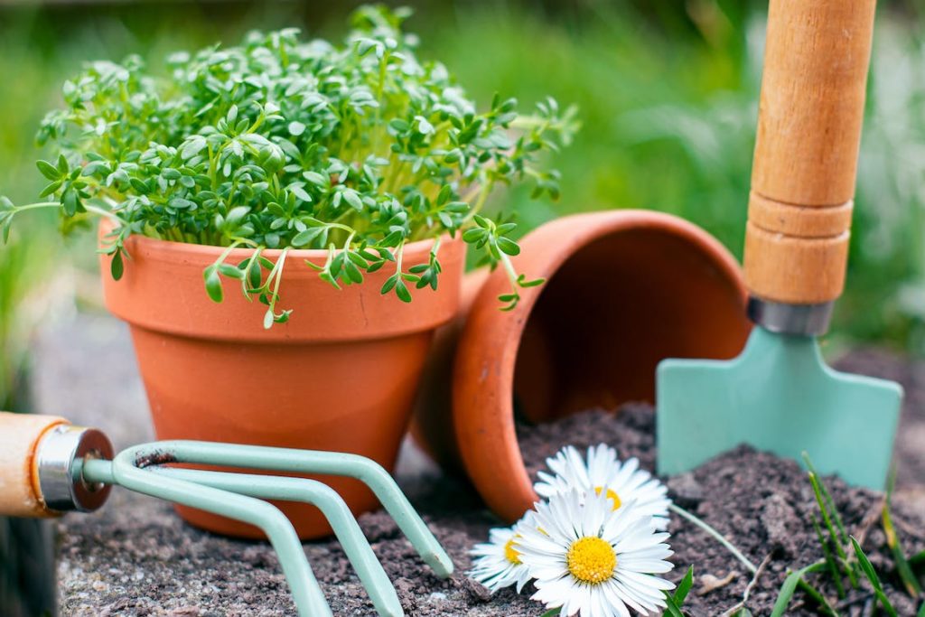gardening tools, pots, and dirt
